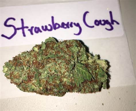 THCA 1g Pre-Roll, Flavor: Strawberry Cough