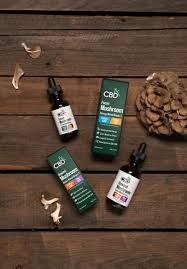 FOCUS MUSHROOM BLEND TINCTURE