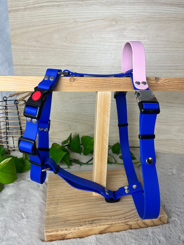 Harnais Hélios Urban  - Tricolore