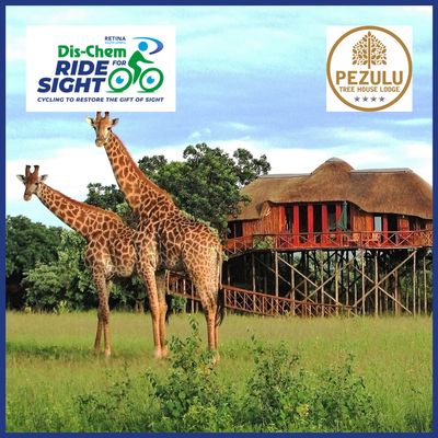 Raffle: Pezulu Tree House Lodge Escape