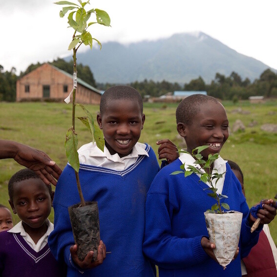 Plant 10 Trees