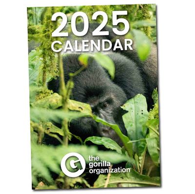 2025 Gorilla Calendar