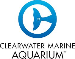 Clearwater Marine Aquarium - 4th Grade Field Trip