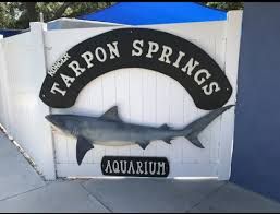 3rd Grade Field Trip - Tarpon Springs Aquarium