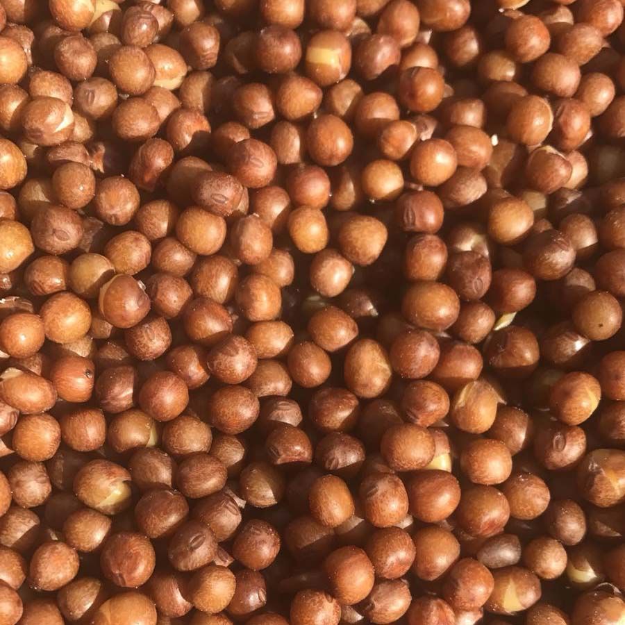 Maple Pea’s Shelf-Life 3L