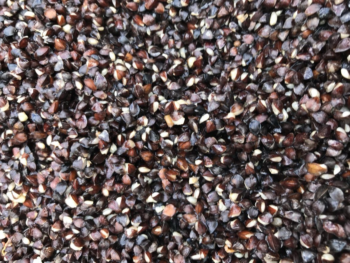 Buckwheat Freezer 5kg