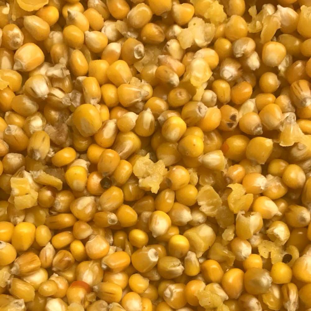 Whole Maize Freezer 5kg
