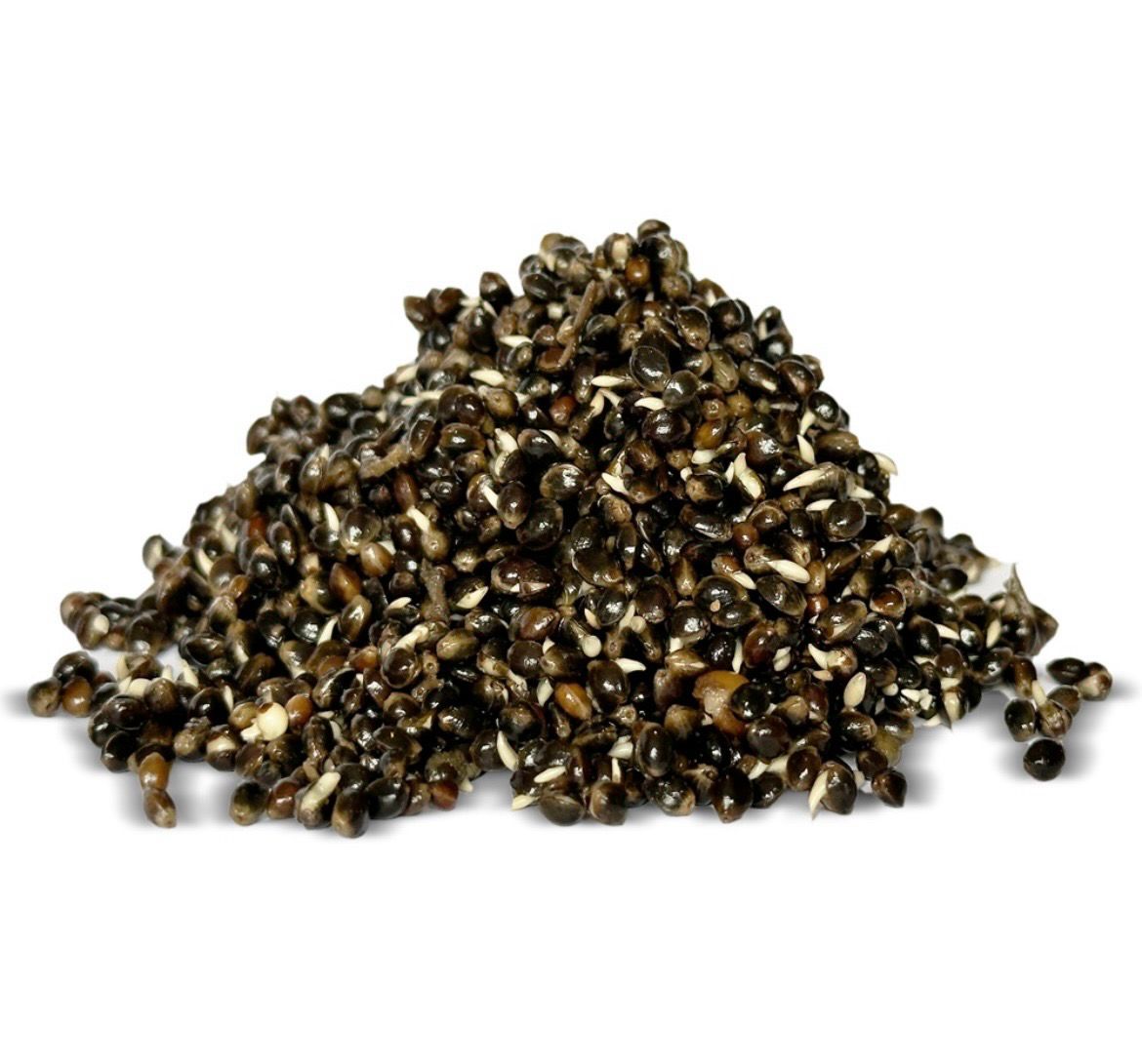 Hemp