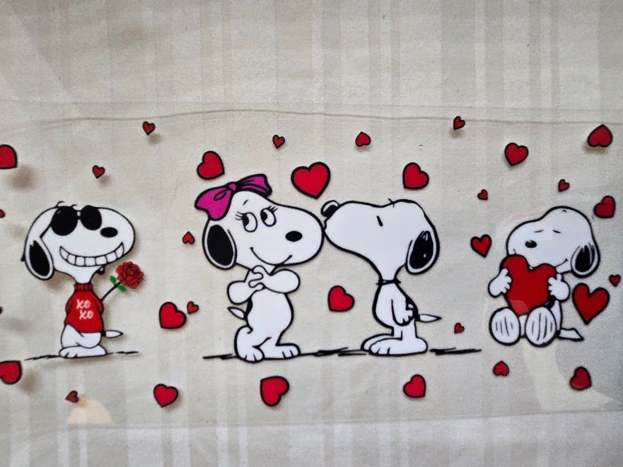 Wrap - Snoopy Love