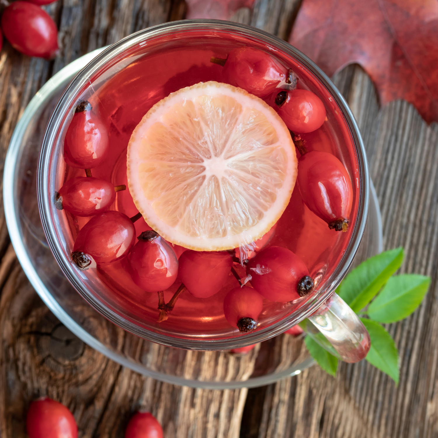 Witchy Pooh&#39;s Rose Hips Fruit Tea