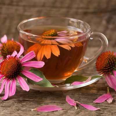 Witchy Pooh&#39;s Echinacea Tea - Purpurea, Loose Leaf Herbal Tea, Caffeine Free
