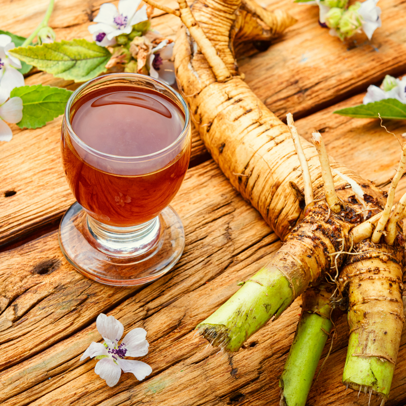 Witchy Pooh&#39;s Marshmallow Root Tea