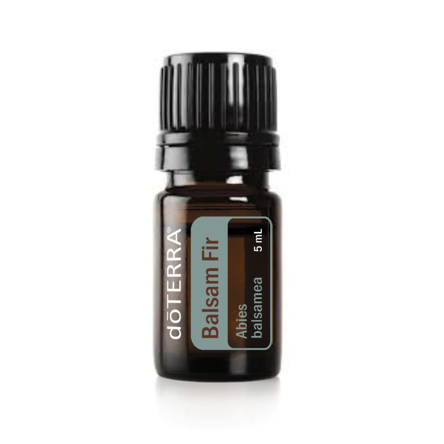 Balsam Fir Essential Oil