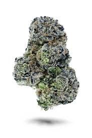 FLOWER G