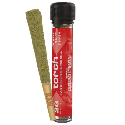 TORCH&#39;S