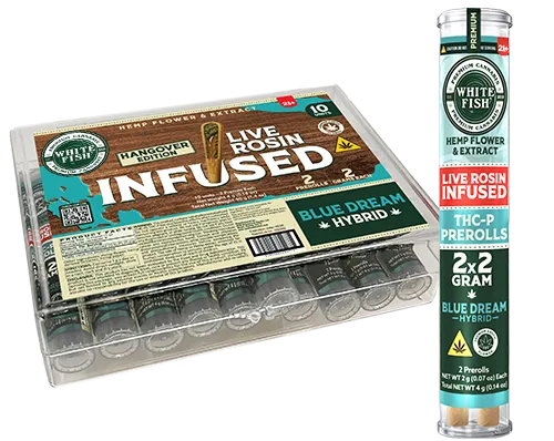 WHITE FISH 2G LIVE ROSIN INFUSED THC-P PRE ROLL | BLUE DREAM (H)