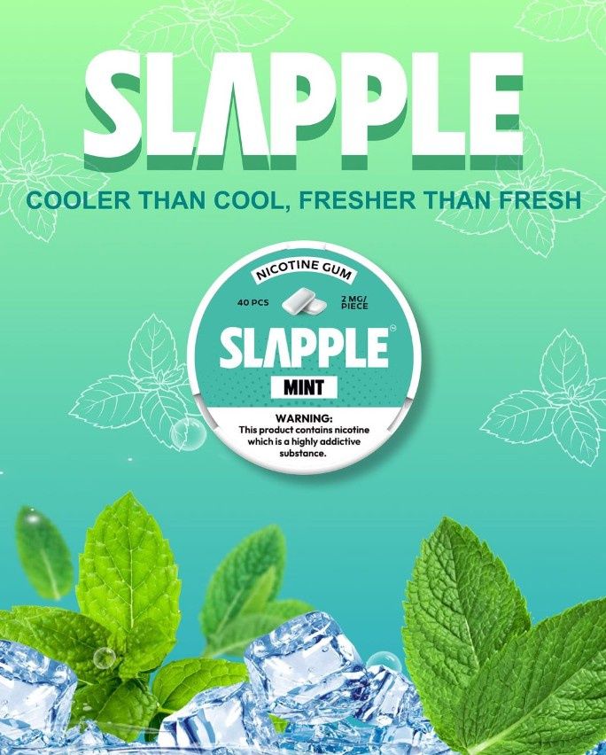 SLAPPLE 2MG NICOTINE GUM 5PK | MINT