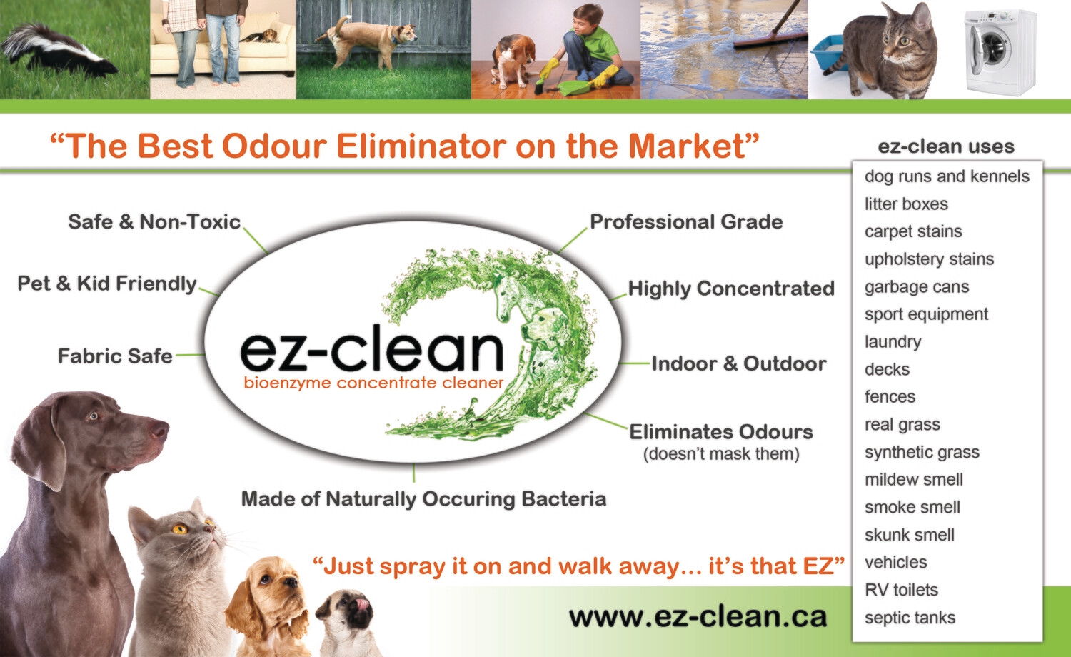 Ez-Clean Concentrated Bioenzyme, Indoor/Outdoor Odor Remover (1 L Spray)