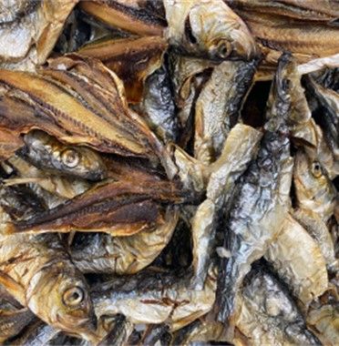 Herring