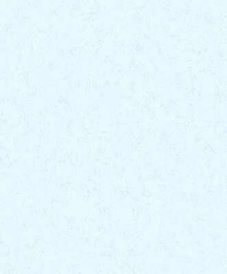 Фактура.
Артикул: 592 350 хх. 
Виниловые обои на флизелиновой основе.
Размер: 0,53 х 10,05м