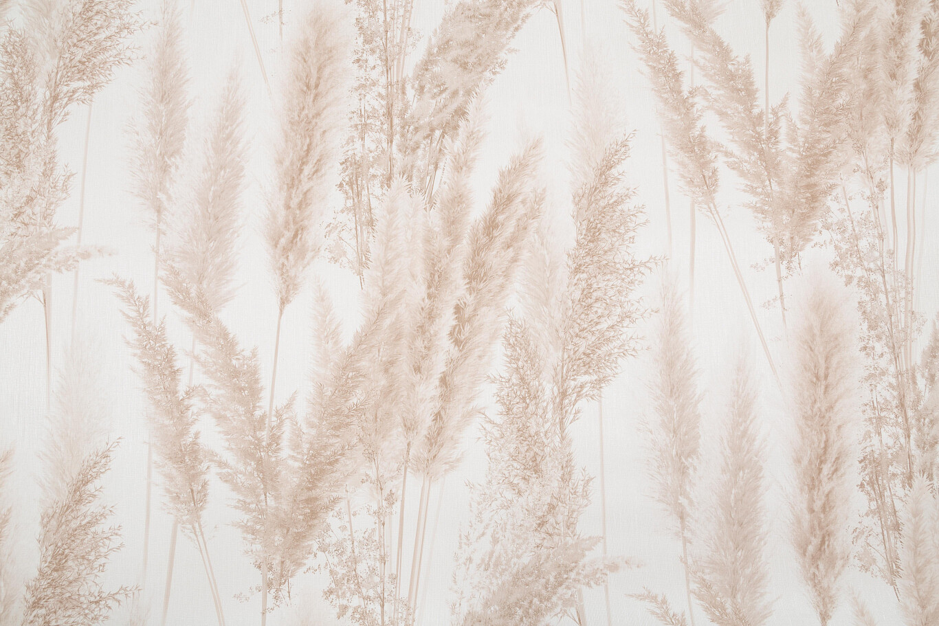 Cortaderia. 
Артикул: VV 72086-xx, VV 72087-xx.
Винил горячего тиснения на флизелиновой основе.
Размер: 1,06 х 10,05м, Бренд: VOG Collection, Артикул: VV 72086-21, Тип: Горячее тиснение на флизелиновой основе, Размер: 1,06 х 10,05м