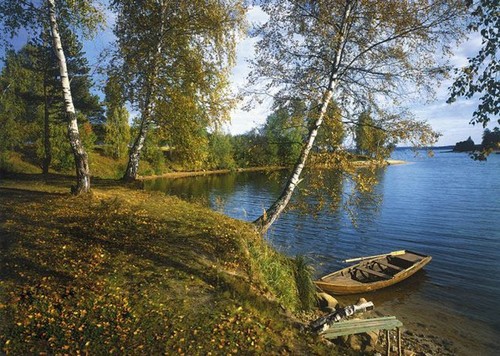 Лодочка. Фотообои, березы. Размер: 272х194 см.