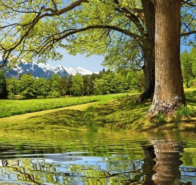 Просторы . Фотообои  на стену природа. Размер: 291х272см.