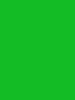 Артикул: 2014. Цветная самоклеющаяся пленка, темный пастельно-зеленый. Hongda. Размер: 0.45х8.0 м.