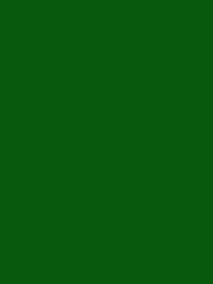 Артикул: 2016. Цветная самоклеющаяся пленка, темный весеннее-зеленый. Hongda. Размер: 0.45х8.0 м.