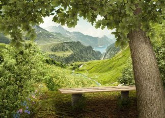 Летняя прохлада. Фотообои на стену, природа. Размер: 272х194 см.