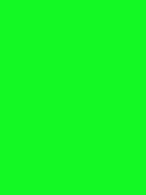 Артикул: 2029. Цветная самоклеющаяся пленка, зеленый. Hongda. Размер: 0.45х8.0 м.