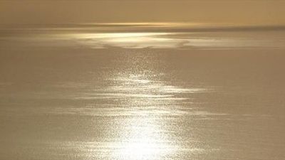 Alba.   Артикул: 9291-хх.   Винил горячего тиснения на флизелиновой основе.   Размер: 1,06 х 10,05м.