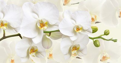 Фотообои Престиж №49. 12 листов. Размер: 392х204см.