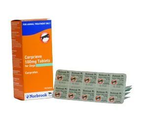 Carprieve Tablet 100mg *vet script required