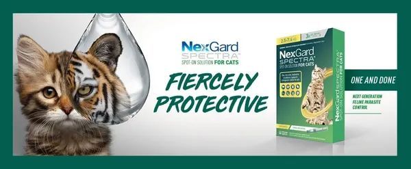 Nexgard Spectra for cats 3 pack