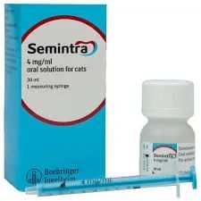 Semintra 100 mls Prescription required
