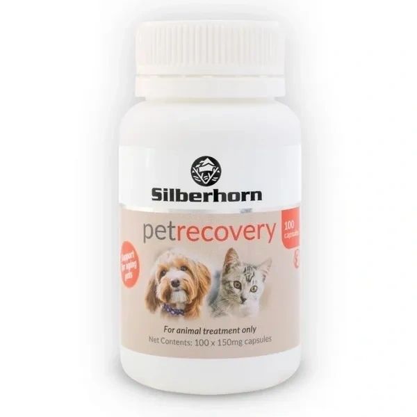 Pet Recovery Capsules