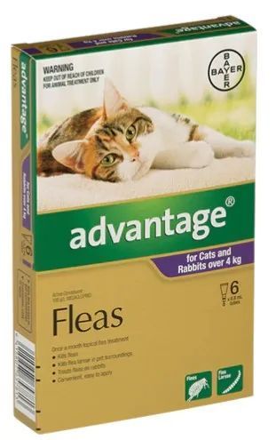 Advantage Large Cats 4-10kg