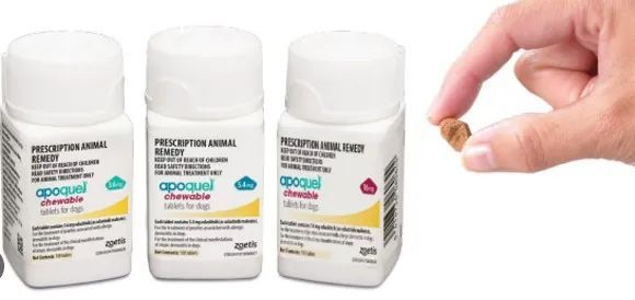 Apoquel chewable tablet *vet script required