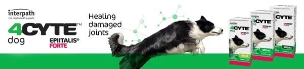 4cyte Epiitalis Forte Gel for Dogs