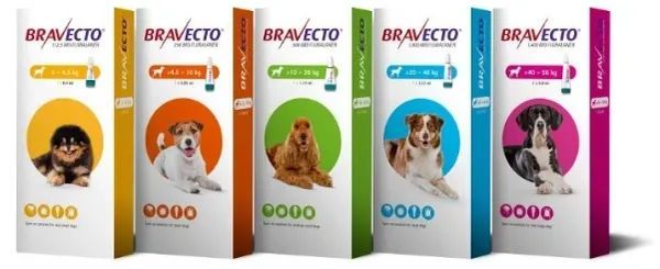 Bravecto spot-on for dogs