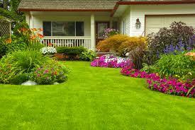 5 - Step Lawn Program with 10% 1st year discount. Starting at $42 per application for lawns under 1000 sq ft. For lawns larger click on Purchase Now then choose your lawn size from the dropdown.