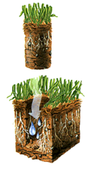 Core Aeration for lawns under 2000 sq ft. For lawns larger click on Buy Now and a popup will ask for the size