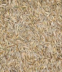 Over Seeding for lawns under 2000 sq ft. For lawns larger click on Buy Now and a popup will ask for the size