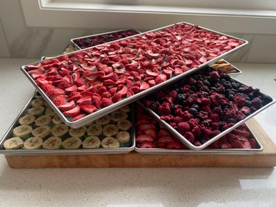 Freeze-Dried Fruits