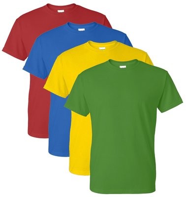 Springfield PE T-Shirt with School Logo