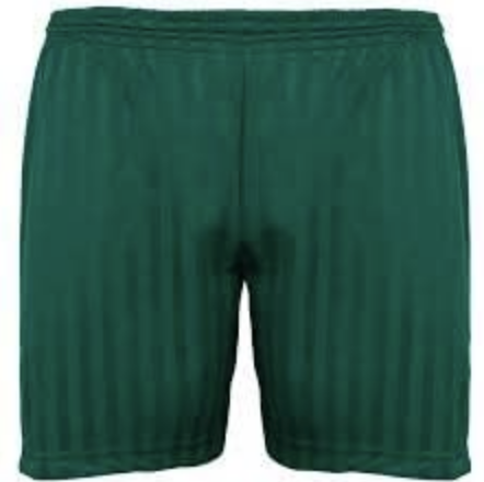 Bottle Green PE Shorts