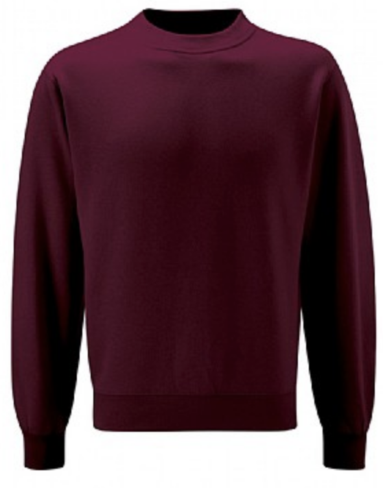 Paulet Maroon Sweatshirt with School Logo (Junior)