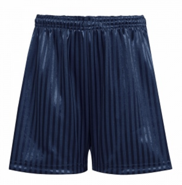 Navy PE Shorts