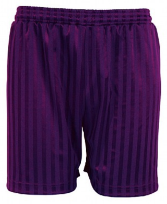 Violet Way Academy PE Shorts